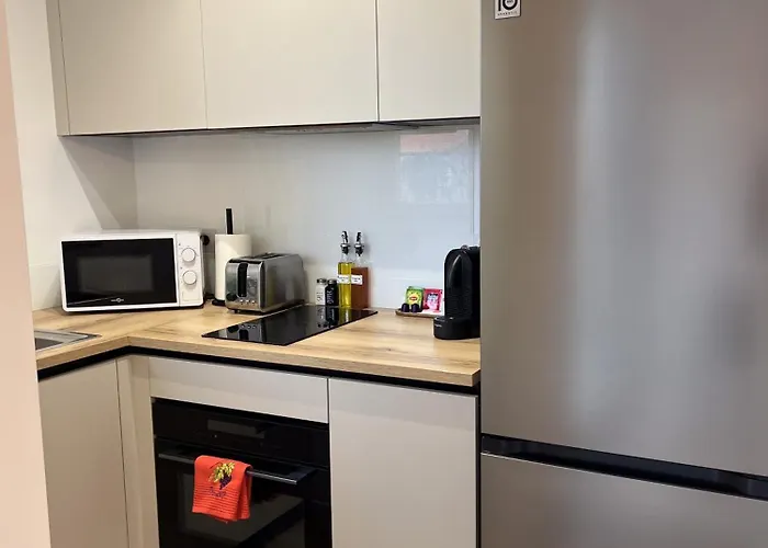 La Nid Douillet-parking-balcon-chbm Tuluza